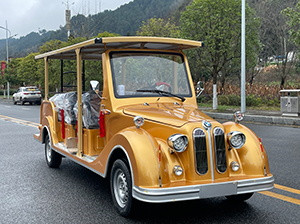 电动老爷车、多种款式可选